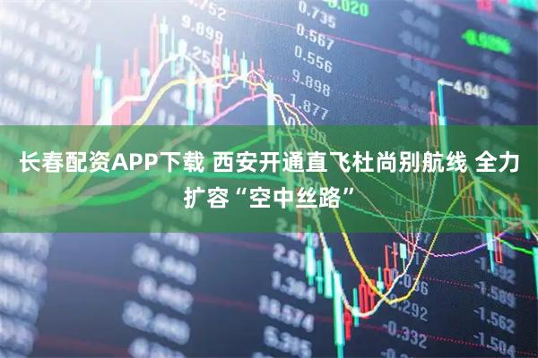长春配资APP下载 西安开通直飞杜尚别航线 全力扩容“空中丝路”