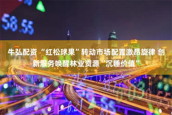 牛弘配资 “红松球果”转动市场配置激昂旋律 创新服务唤醒林业资源“沉睡价值”