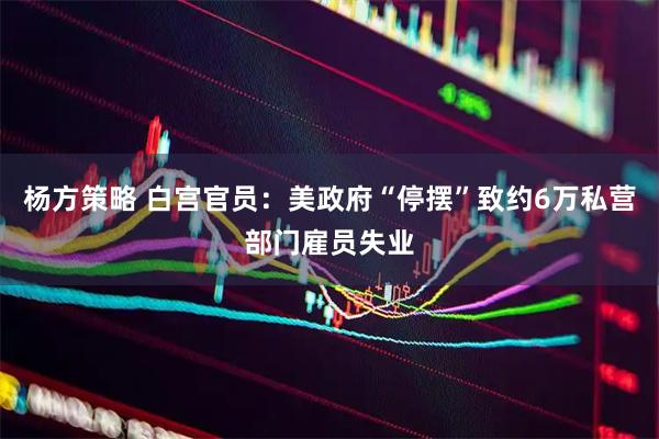 杨方策略 白宫官员：美政府“停摆”致约6万私营部门雇员失业